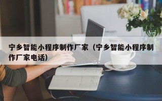 辽宁宁乡智能小程序制作厂家（宁乡智能小程序制作厂家电话）